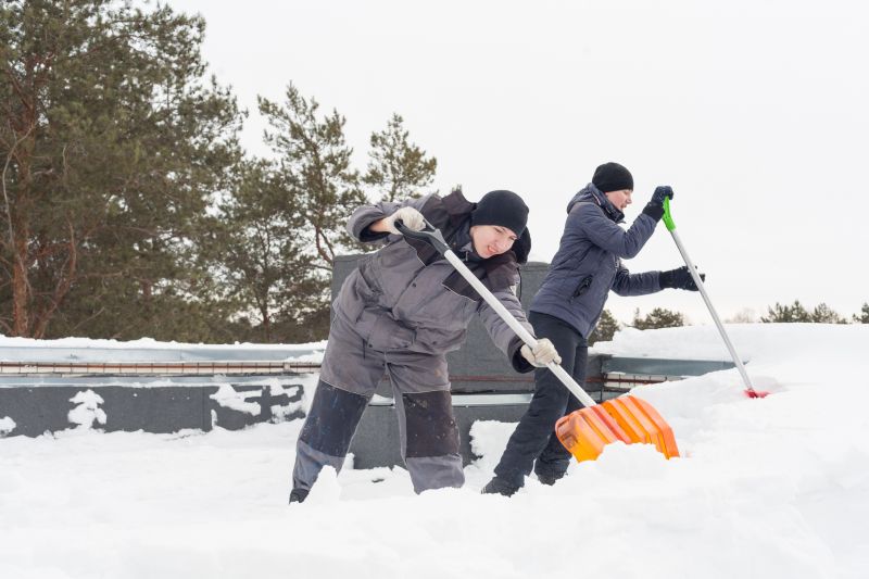Local Snow Shoveling pros at work